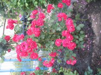 IMG_0067.jpg