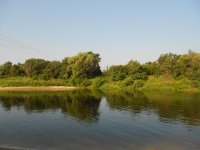 DSCN1259.jpg