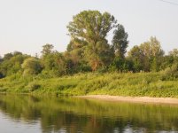 DSCN1260.jpg