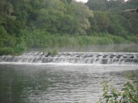 DSCN1254.jpg