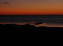 DSC09032.jpg