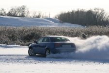 IMG_2724.jpg