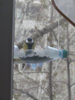 IMG_2058.jpg