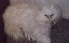 DSCF0748.JPG