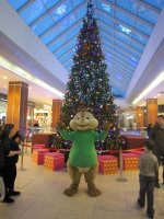IMG_2004.JPG IMG_2004.JPG