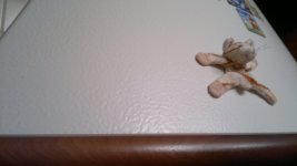 04012012393.jpg