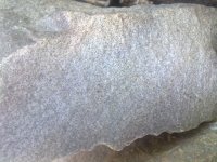 20052012776.jpg