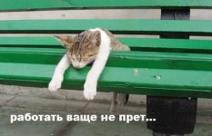 20294f1d4dea.jpg