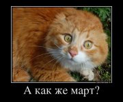 977608_a-kak-zhe-mart_demotivators_ru.jpg