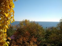 2012-10-20 13.42.34.jpg