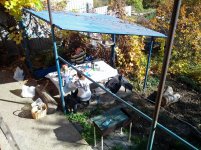 2012-10-20 13.42.06.jpg