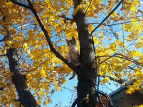2012-10-07 13.56.49.jpg