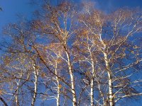 201020121734.jpg
