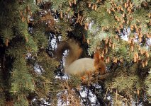 IMG_0299.jpg