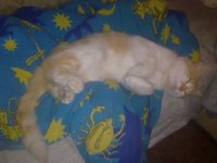 16092012977.jpg