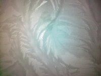 21122012324.jpg
