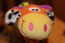 IMG_0269.jpg IMG_0269.jpg