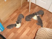 IMG_0726.jpg