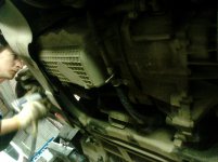 IMG_20130330_151112.jpg IMG_20130330_151112.jpg