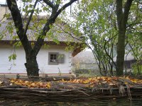 IMG_0367.jpg