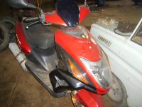 S6001550.JPG