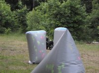 SAM_0061.jpg