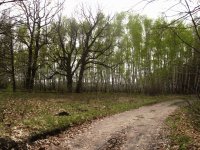 IMG_1029.jpg