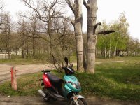 IMG_1044.jpg