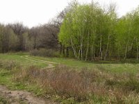 IMG_1050.jpg