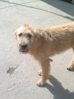 2013-06-29-872.jpg