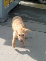 2013-06-29-870.jpg