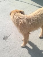 2013-06-29-871.jpg
