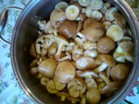 DSC00580.JPG