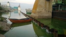 WP_20130830_002.jpg