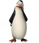 Penguins_of_Madagascar_-_Kowalski_2_7104.jpg