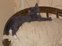 DSCN3577.jpg