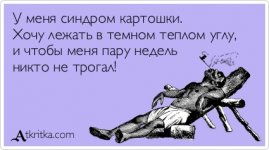 atkritka_1361944903_447.jpg