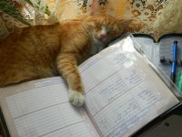 DSCN4963.JPG