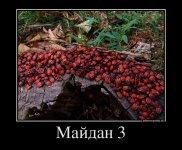 823283_majdan-3_demotivators_to.jpg