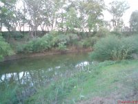 DSC00179.JPG