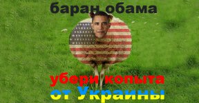 +10x500-960x500.jpg