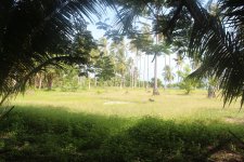 IMG_3889.jpg