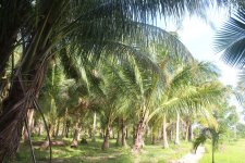 IMG_3890.jpg