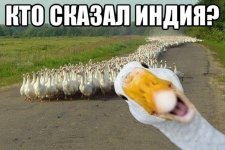 gusi_20265734_orig_.jpg