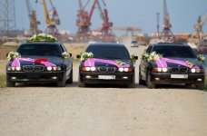 e24fd4s-960.jpg e24fd4s-960.jpg