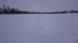 DSC_0104.jpg
