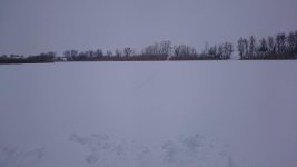 DSC_0105.jpg