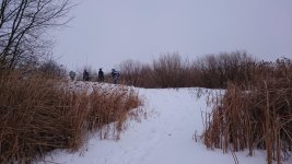 DSC_0106.jpg