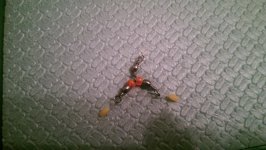 IMAG0454.jpg