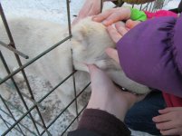 IMG_2174.jpg